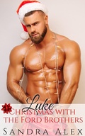 Cover: Luke - Sandra Alex