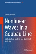 Cover: Nonlinear Waves in a Goubau Line - Springer