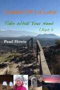 Cover: Camino de la Luna - Take What You Need (Part 1) - Flying Machine Films Limited