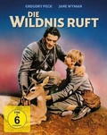 Cover: Die Wildnis ruft - Plaion Pictures