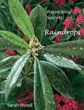 Cover: Watercolour Secrets: Raindrops - Copperbird Press