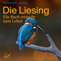 Enlarge image Cover: Die LIESING - Popp-Hackner Photography