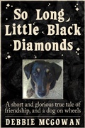 Cover: So Long, Little Black Diamonds - b10track
