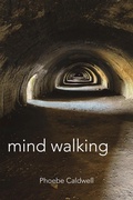 Cover: Mind Walking - Beaten Track Publishing