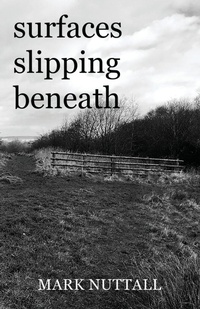 Enlarge image Cover: Surfaces Slipping Beneath - The Choir Press