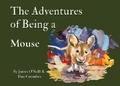 Cover: The Adventures of Being a Mouse - Quick Brown Fox Communications Ltd