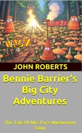 Cover: Bennie Barrier's Big City Adventures; The Tale Of Mrs Fry's Mushroom Soup (Bennie Barrier's Big City Adventures) - John Roberts