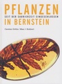 Cover: Pflanzen in Bernstein - Isensee, Florian, GmbH