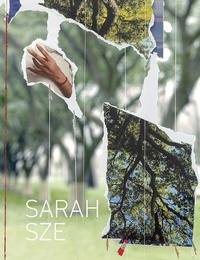 Enlarge image Cover: Sarah Sze - DelMonico Books/D.A.P.