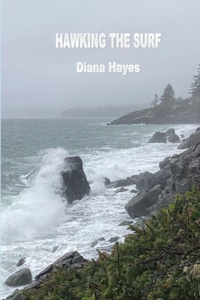 Enlarge image Cover: Hawking the Surf - Silver Bow Publishing