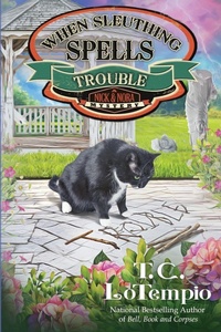 Enlarge image Cover: When Sleuthing Spells Trouble - Beyond the Page Publishing