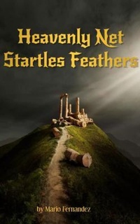 Enlarge image Cover: Heavenly Net Startles Feathers - Mario Fernandez