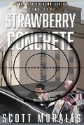 Cover: Strawberry Concrete - Crossroads Publishing, LLC