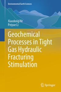 Enlarge image Cover: Geochemical Processes in Tight Gas Hydraulic Fracturing Stimulation - Springer
