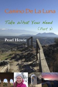 Cover: Camino de la Luna - Take What You Need (Part 3) - Flying Machine Films Limited