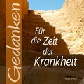 Cover: F&uuml;r die Zeit der Krankheit - Neue Stadt