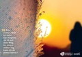 Cover: Pioneers of Change Wandkalender 2026 - Pioneers of Change
