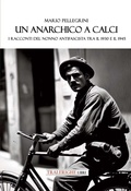 Cover: Un anarchico a Calci. I racconti del nonno antifascista tra il 1930 e il 1945 - Tra le righe libri