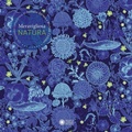 Cover: Meravigliosa natura - Divulgazione d'artista;Franco Cosimo Panini