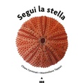 Cover: Segui la stella - Lapis