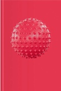 Cover: Sophie Hirsch - Verlag f&uuml;r Moderne Kunst