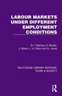 Cover: Labour Markets Under Different Employment Conditions - Routledge
