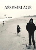 Cover: Assemblage - Cicada Fire Books
