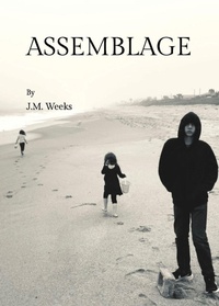 Enlarge image Cover: Assemblage - Cicada Fire Books