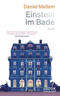Cover: Einstein im Bade - Kein & Aber