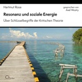 Cover: Resonanz und soziale Energie - cc-live
