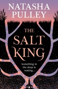 Cover: The Salt King - Gollancz