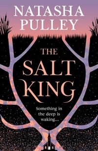 Enlarge image Cover: The Salt King - Gollancz