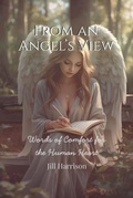 Cover: From An Angel's View - Harrison Publishers