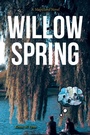 Cover: Willow Spring - Fulton Books