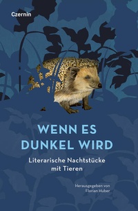 Enlarge image Cover: Wenn es dunkel wird - Czernin