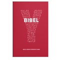 Cover: Bibel - YOUCAT