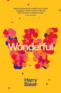 Cover: Wonderful - Burning Eye Books