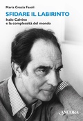 Cover: Sfidare il labirinto - Ancora