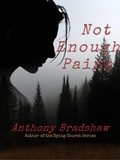 Cover: Not Enough Paint - C & C Publishing Company