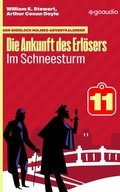 Cover: Im Schneesturm - goaudio