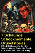 Cover: 7 Schaurige Schockmomente: Gruselstories - Alfredbooks