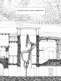 Cover: Muzeum Susch: Alpine Laboratory - K&ouml;nig, Walther