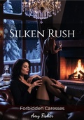 Cover: Silken Rush - Amy Fisher