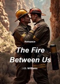 Cover: The Fire Between Us (For The Love Of, #3) - I.D. Williams