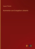 Cover: Kommentar zum Evangelium Johannis - Outlook Verlag