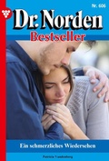 Cover: Ein schmerzliches Wiedersehen - Blattwerk Handel