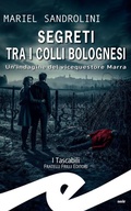Cover: Segreti tra i colli bolognesi - Fratelli Frilli Editori
