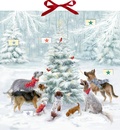 Cover: Zettel-Adventskalender - Weihnachten auf vier Pfoten - Coppenrath