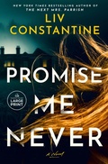 Cover: Promise Me Never - Diversified Publishing