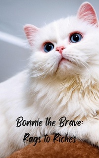 Enlarge image Cover: Bonnie the Brave; Rags to Riches - Jennifer Phillips